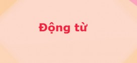 dong tu