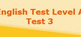 level a test3