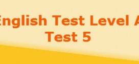 level a test5