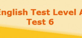 level a test6