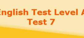 level a test7