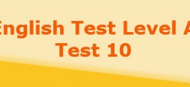 level a test10