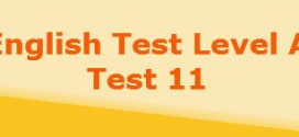 level a test11