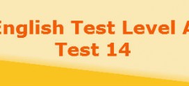 level a test14