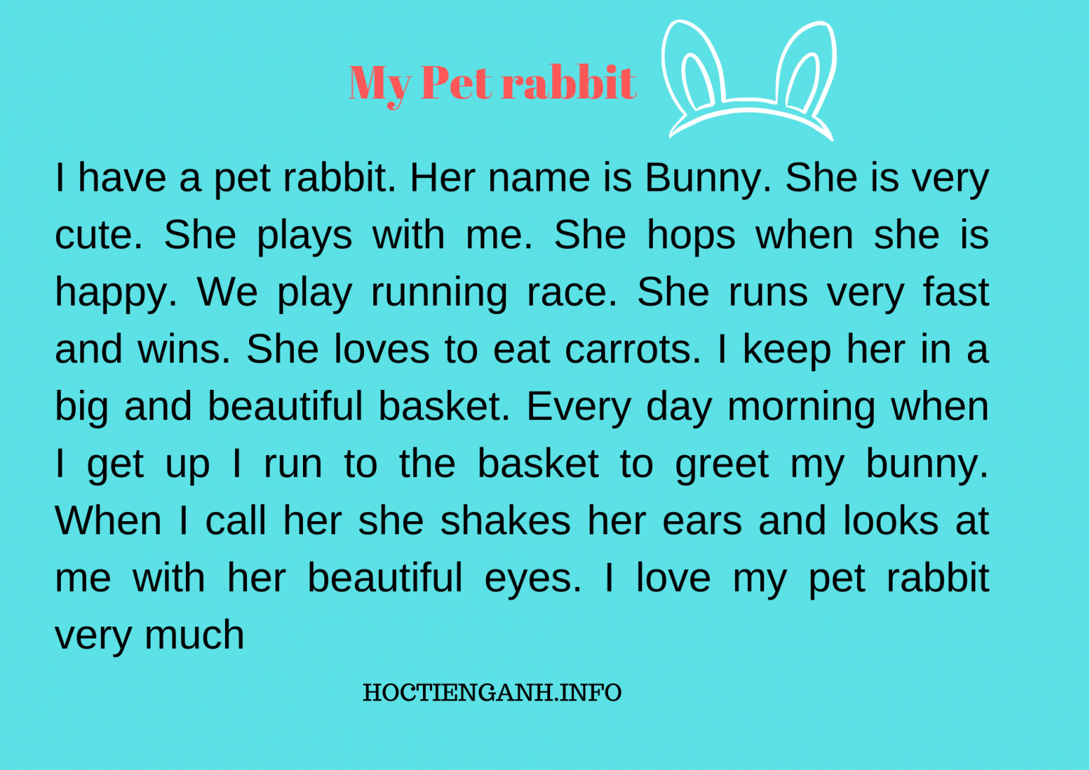 Animal Essays Topics: My Pet rabbit