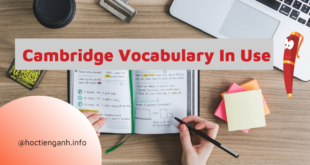 Cambridge Vocabulary In Use
