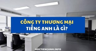 công ty thương mại tiếng anh là gì