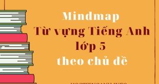 Mindmap từ vựng Tiếng Anh lớp 5 theo chủ đề (2)