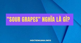 Sour grapes nghia la gi