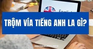 Trộm vía tiếng Anh là gì