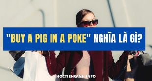 Buy a pig in a poke nghia la gi1