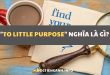 To little purpose nghĩa là gì
