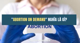 Abortion on demand nghĩa là gì