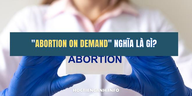 Abortion on demand nghĩa là gì