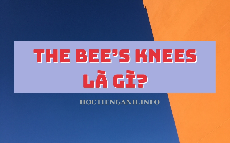 The bee’s knees là gì