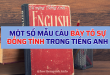 Một số mẫu câu bày tỏ sự đồng tình trong tiếng Anh