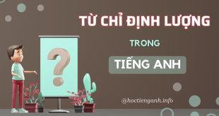 Một số từ chỉ định lượng thông dụng trong Tiếng Anh